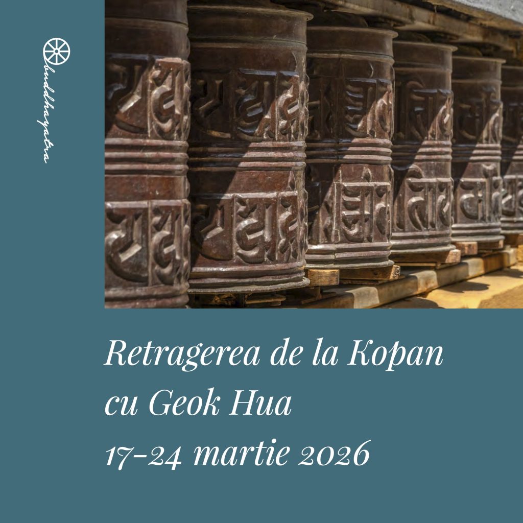 Coperta cărții Retragerea de la Kopan cu Geok Hua